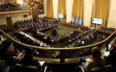 انقسام الرأي السوري حول لامركزية السلطة في الدستور الجديد